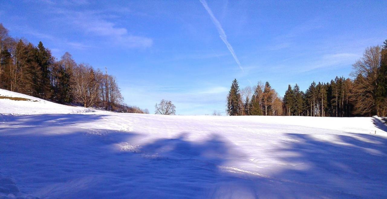 Pension Zur Altdeutschen Zschopau Luaran gambar